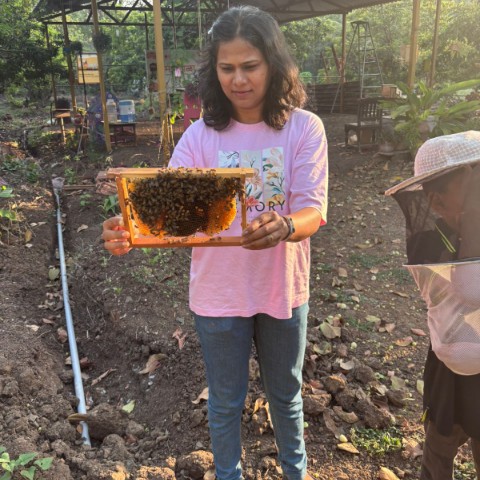 Bee farm visit individually